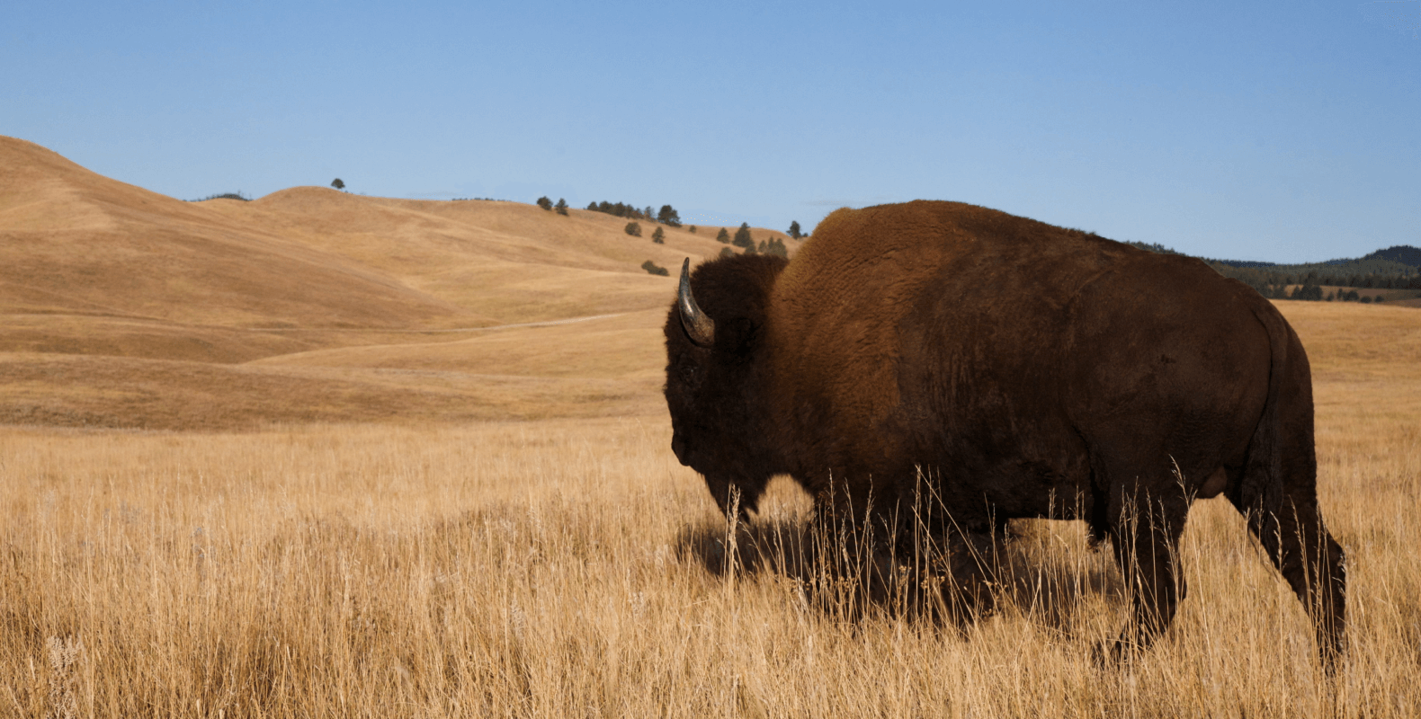 Payday Loans in North Dakota